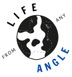 Life From Any Angle Humor Logo